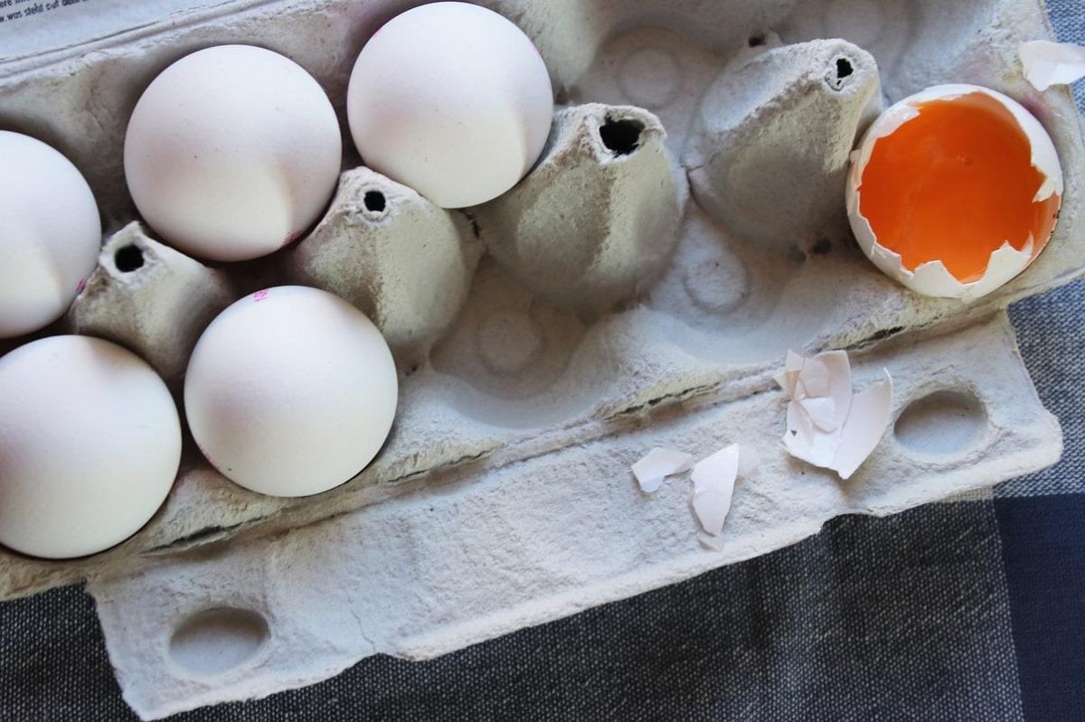 Students drop egg from 83 feet to break world record