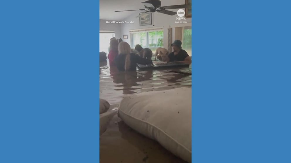 WATCH: Group of people and pets stand in chest-high water inside North Carolina home