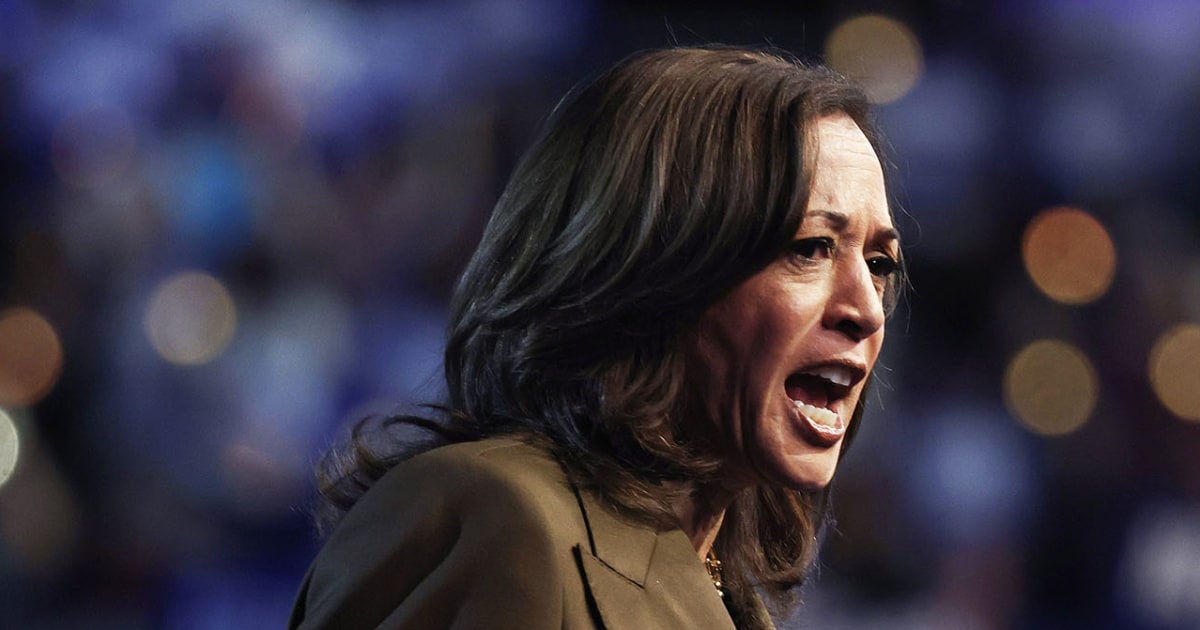 Harris' campaign launches new ad aimed at persuadable Republicans