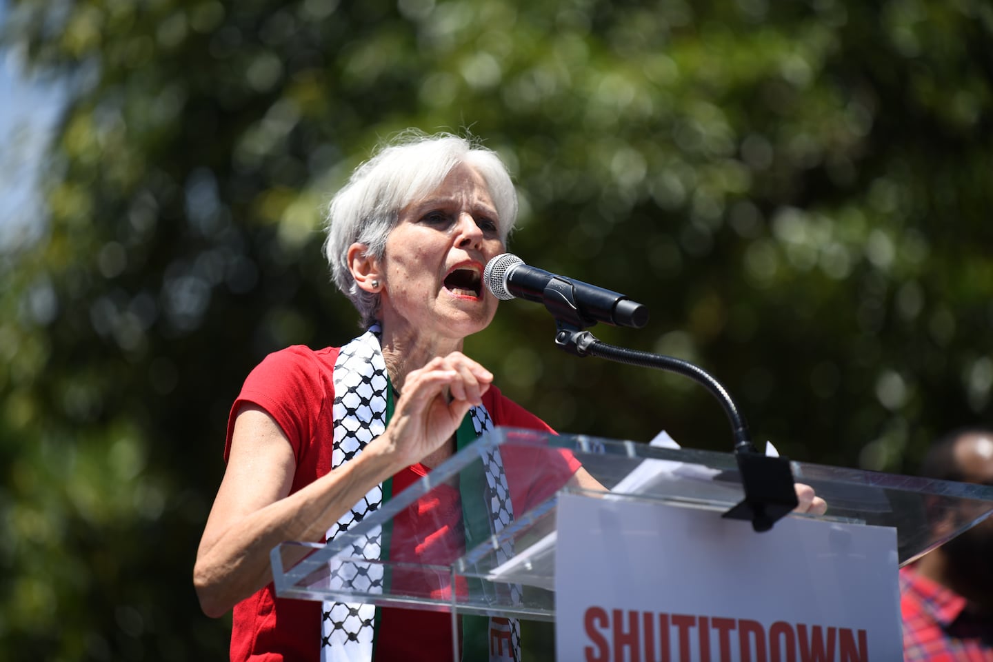 GOP operatives illegally helped Jill Stein in NH