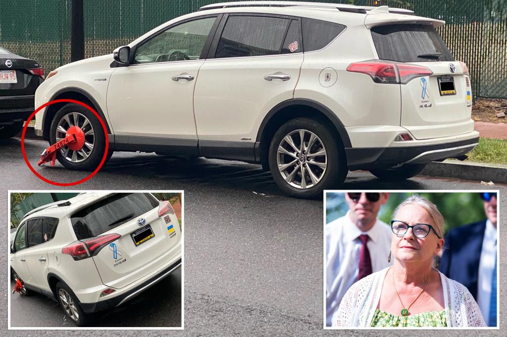 Pennsylvania Dem Rep. Susan Wild's car booted in DC after racking up $775 in fines, parking in handicap spot