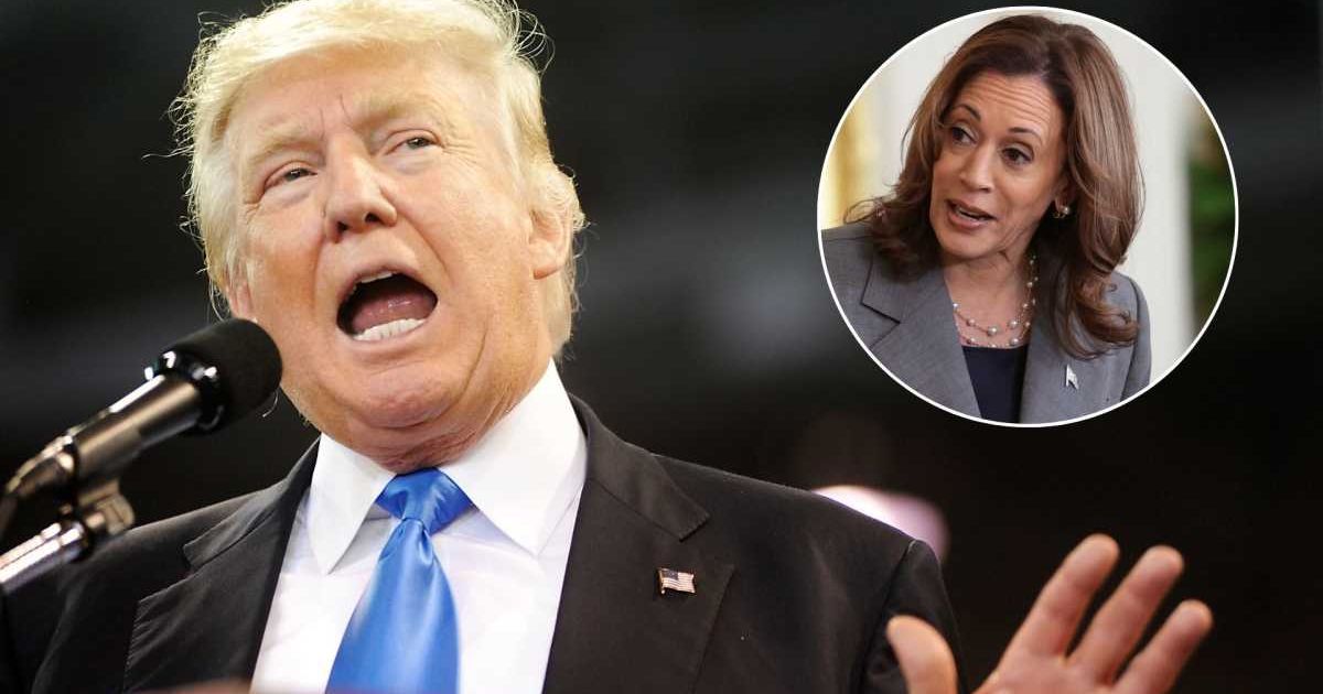 Donald Trump Warns Every U.S. Town Will Become a 'Third-World Hellhole' If Kamala Harris Wins