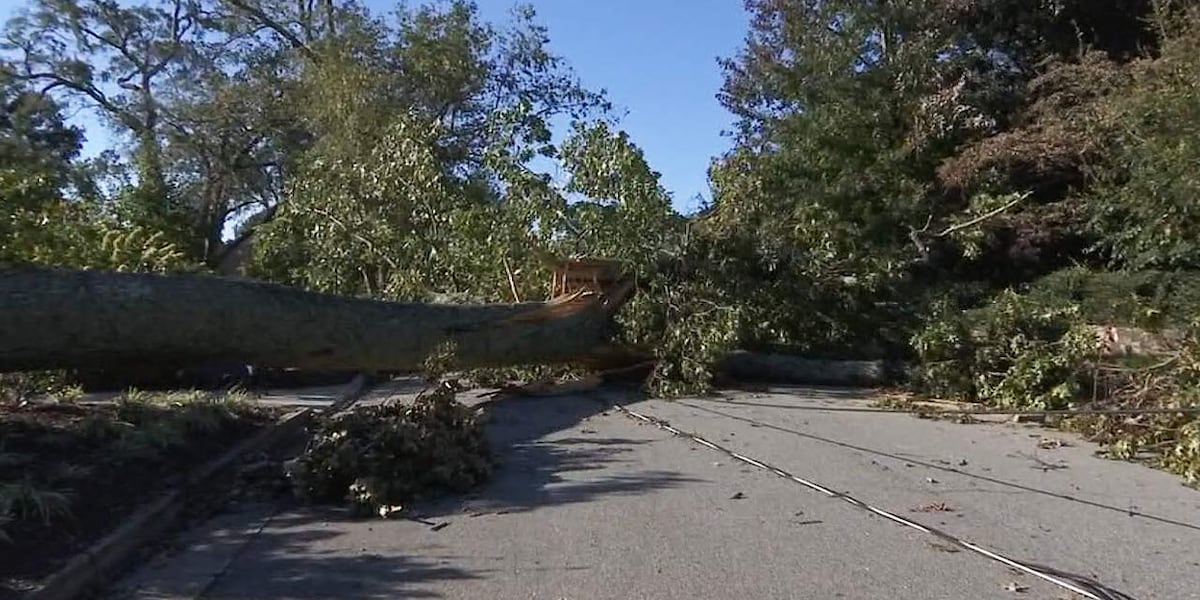 SC receives $2 million in federal funding to repair bridges, roads damaged by Hurricane Helene