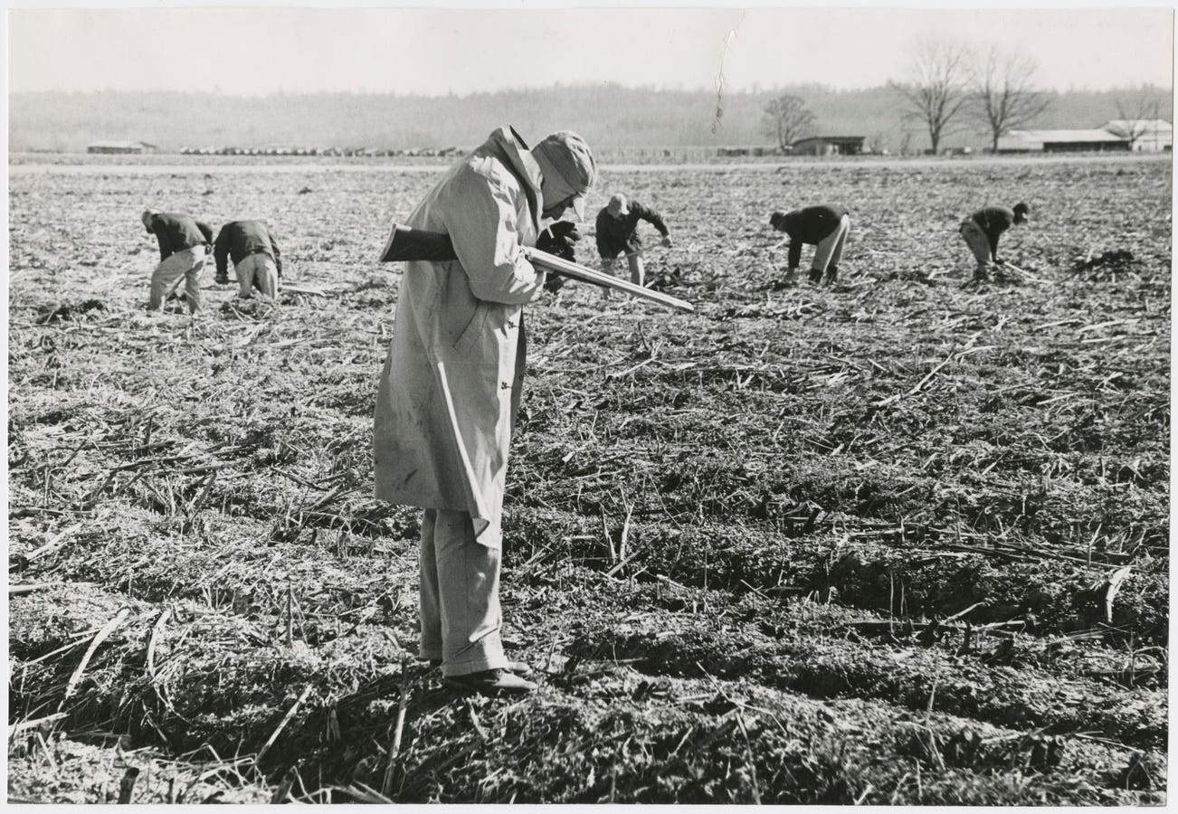 Historic New Orleans Collection Explores Human Tragedy Of Mass Incarceration In Louisiana