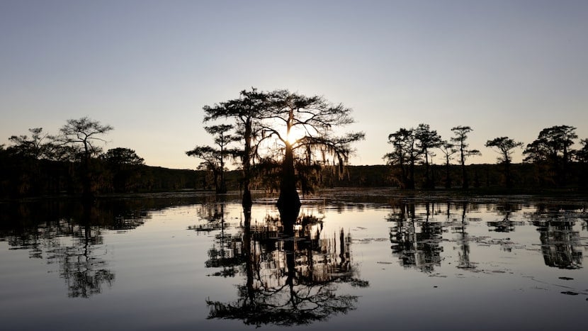 McKenzie: Nature knows best how to meet Texas water needs