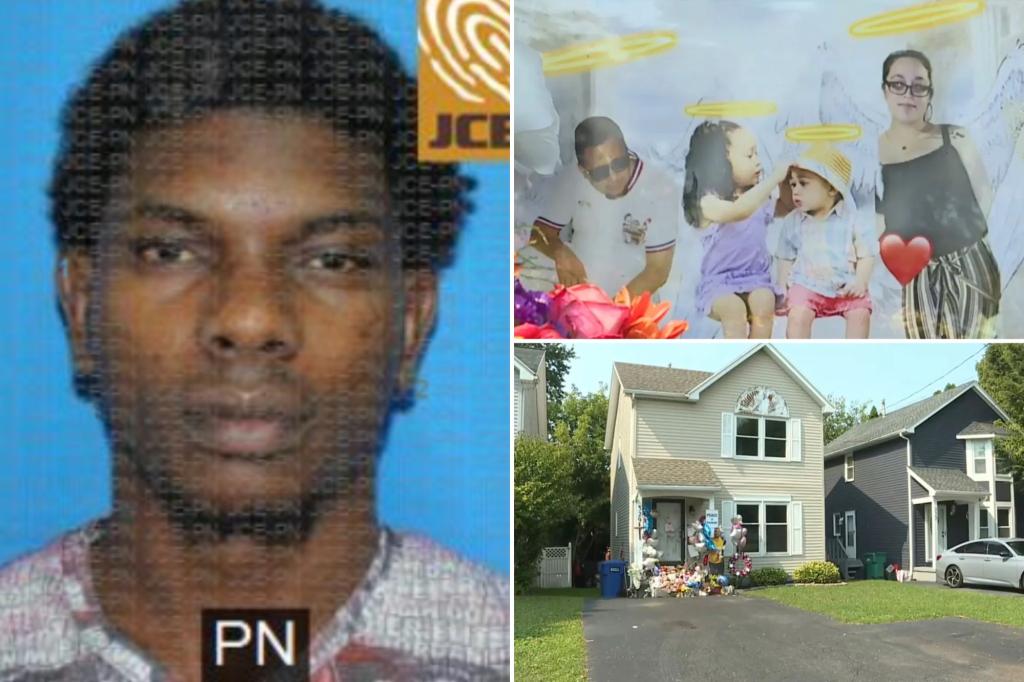 Illegal migrant from Dominican Republic suspected in murder of New York state family: police