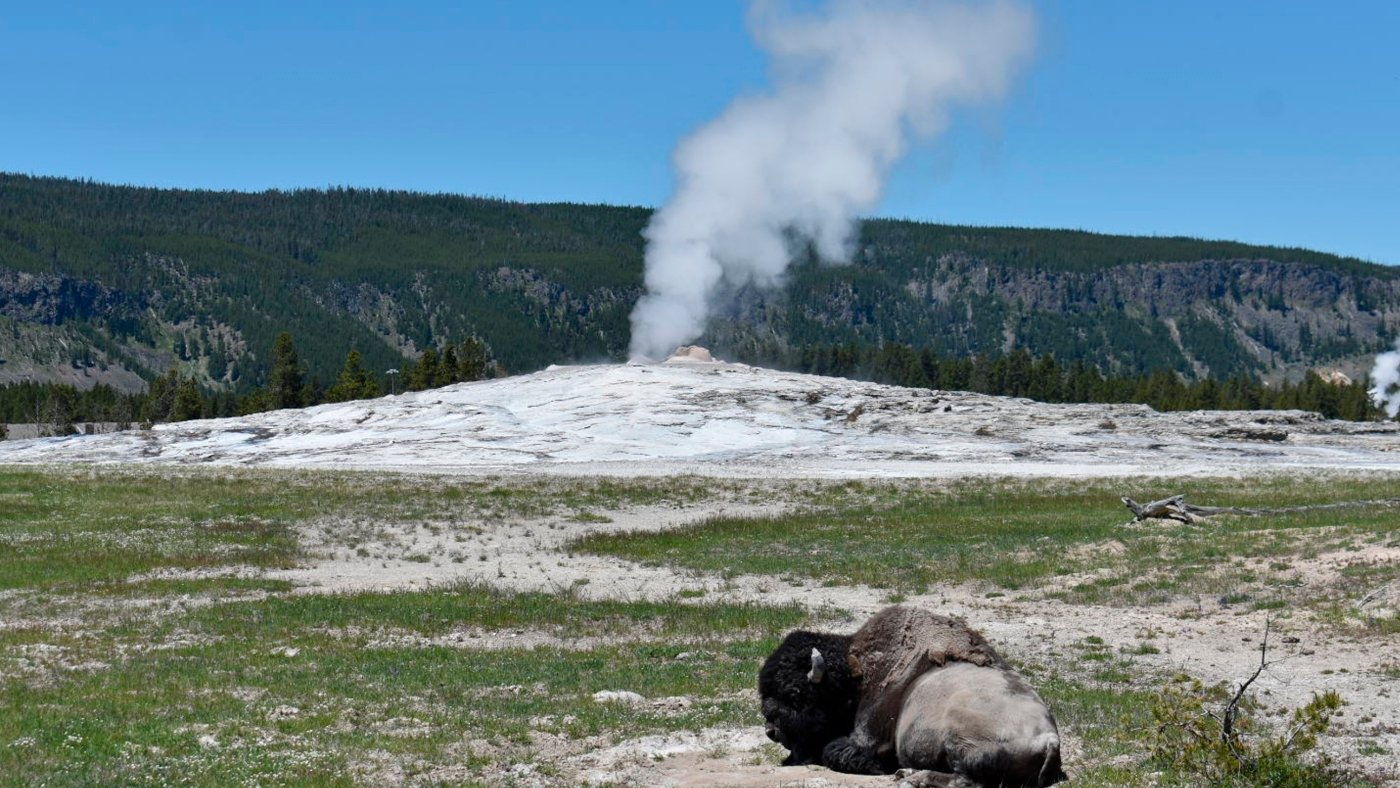 A woman sustains leg burns after straying from Yellowstone trail