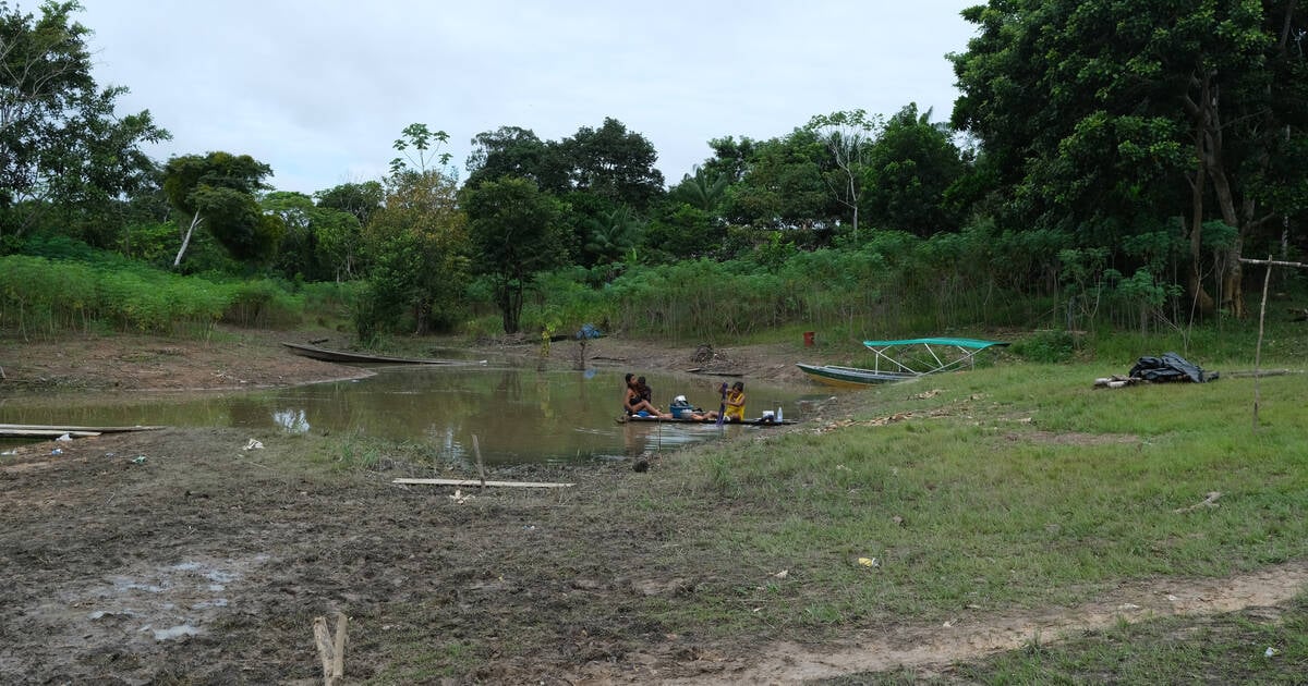 En Colombie, le lit du fleuve Amazone réduit de 90 % à cause de la sécheresse