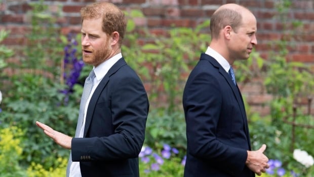 The rift between Prince Harry and Prince William casts a long shadow