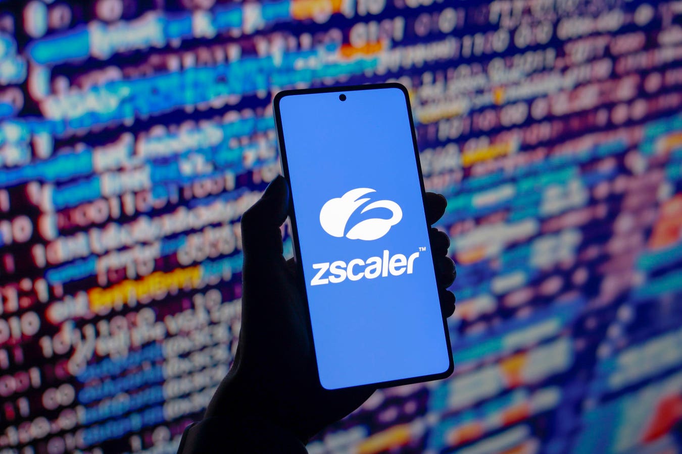 Why Did Zscaler Stock Crater 20%?