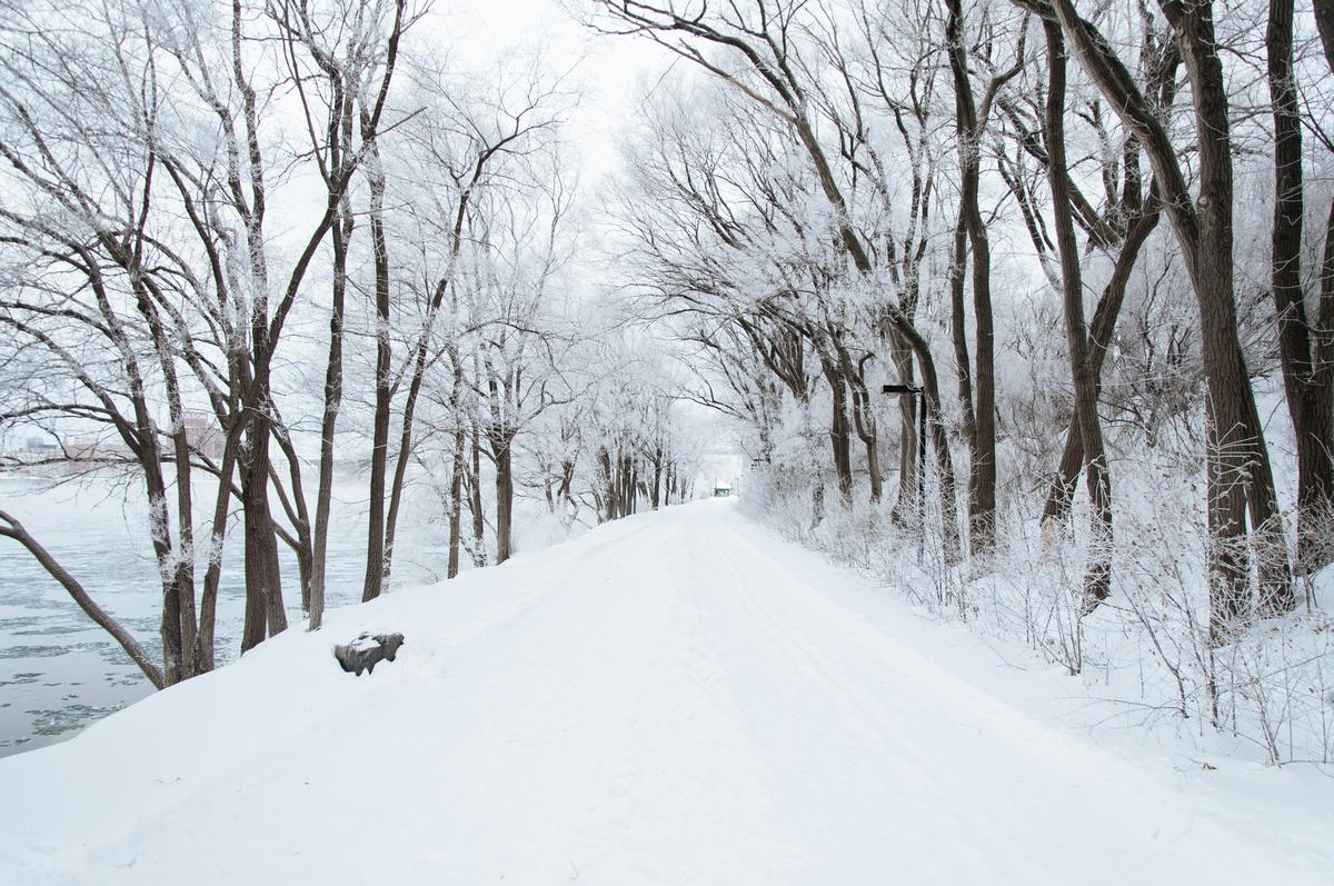 Snow Forecast for This Coming Winter in Minnesota