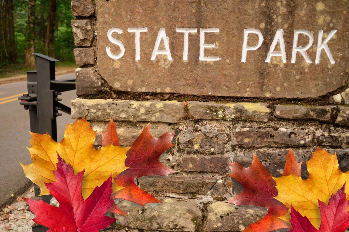 Fall is Time to Explore These Amazing Southern MN State Parks