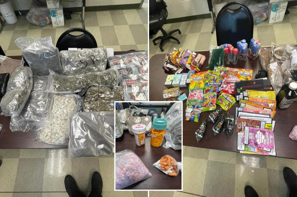 Sheriffs invite owner of large drug stash found in Hurricane Helene cleanup to retrieve it: ‘Please come see us’