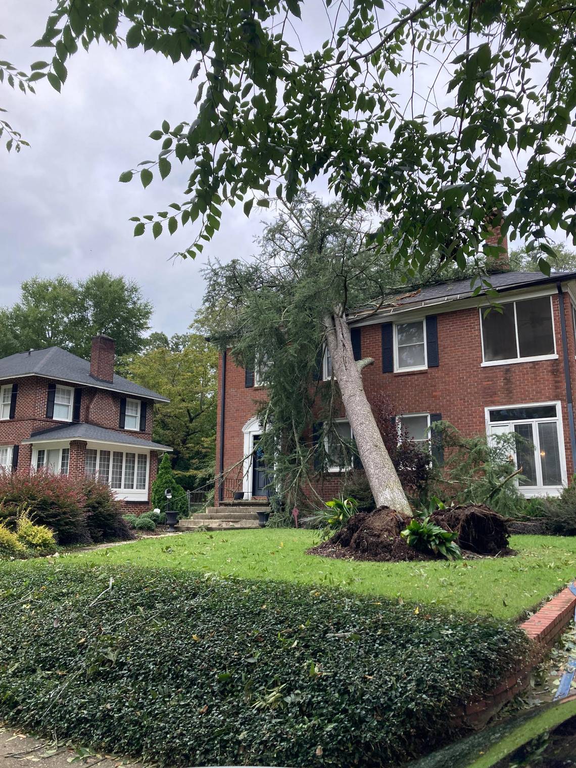 Fallen trees leave Columbia scrambling to clear roads, homes in aftermath of hurricane