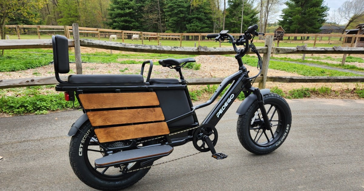 Pedego Cargo e-bike review: your passengers will love it