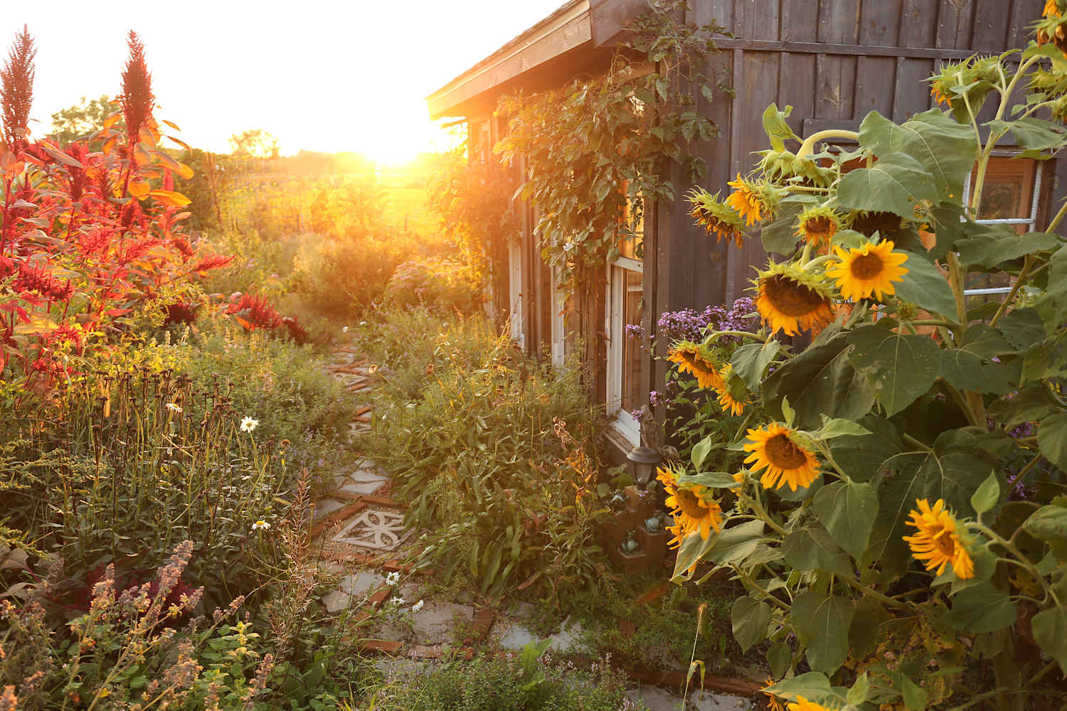 “The Old Farmer’s Almanac” Predicts a Very Hot Start to Fall — but That’s Not All