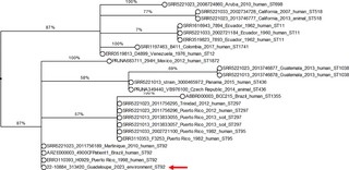 Reassessing the distribution of Burkholderia pseudomallei outside known endemic areas using animal serological screening combined with environmental surveys: The case of Les Saintes (Guadeloupe) and French Guiana