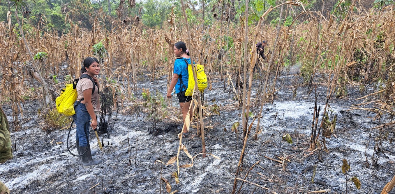 How climate change is undermining Indigenous knowledge and livelihoods in Central America