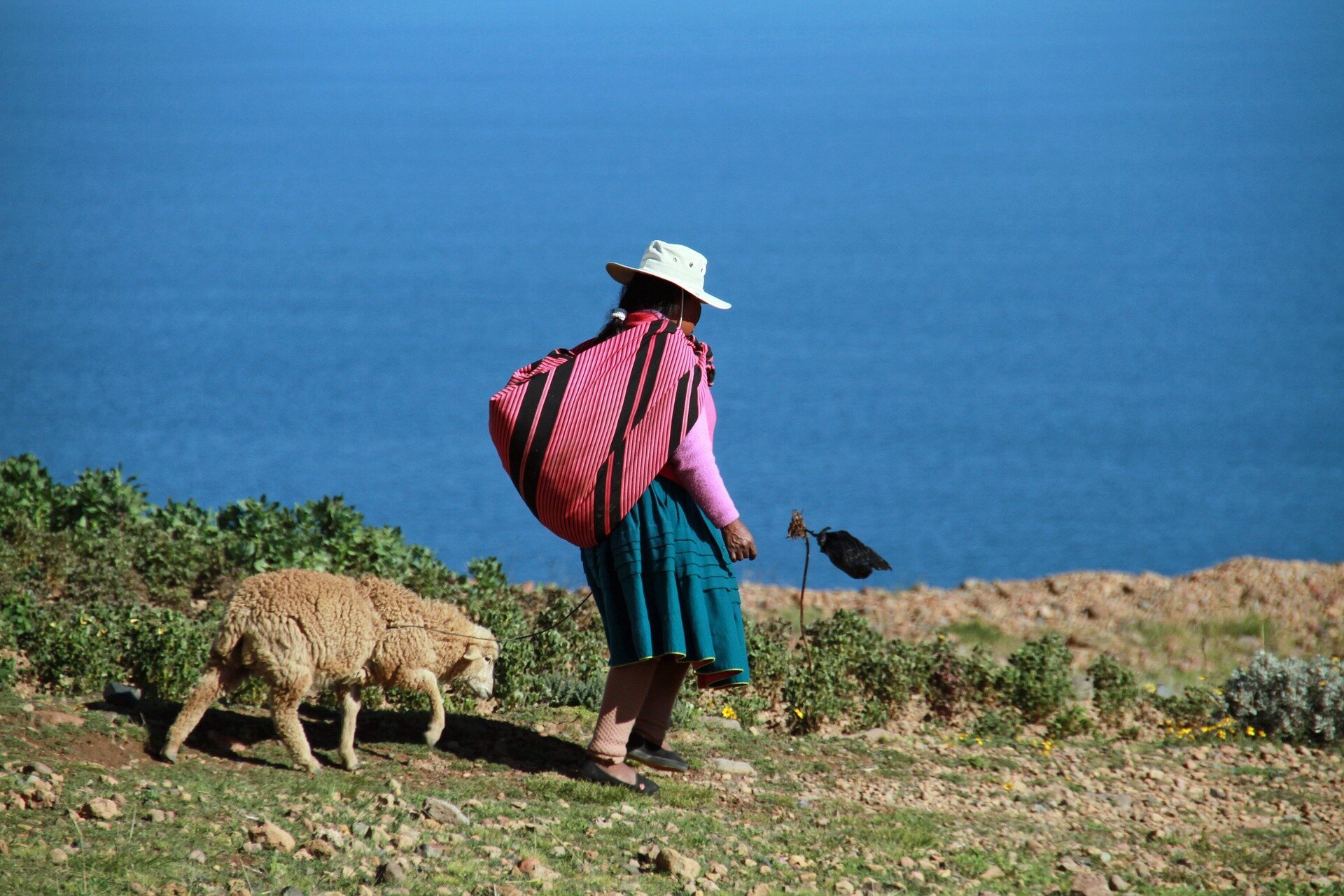 How climate change is undermining Indigenous knowledge and livelihoods in Central America