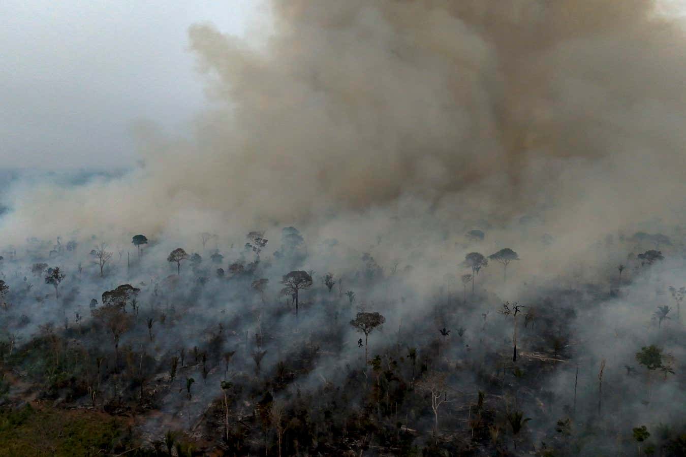 Deforestation is partly to blame for Amazon's worst-ever drought