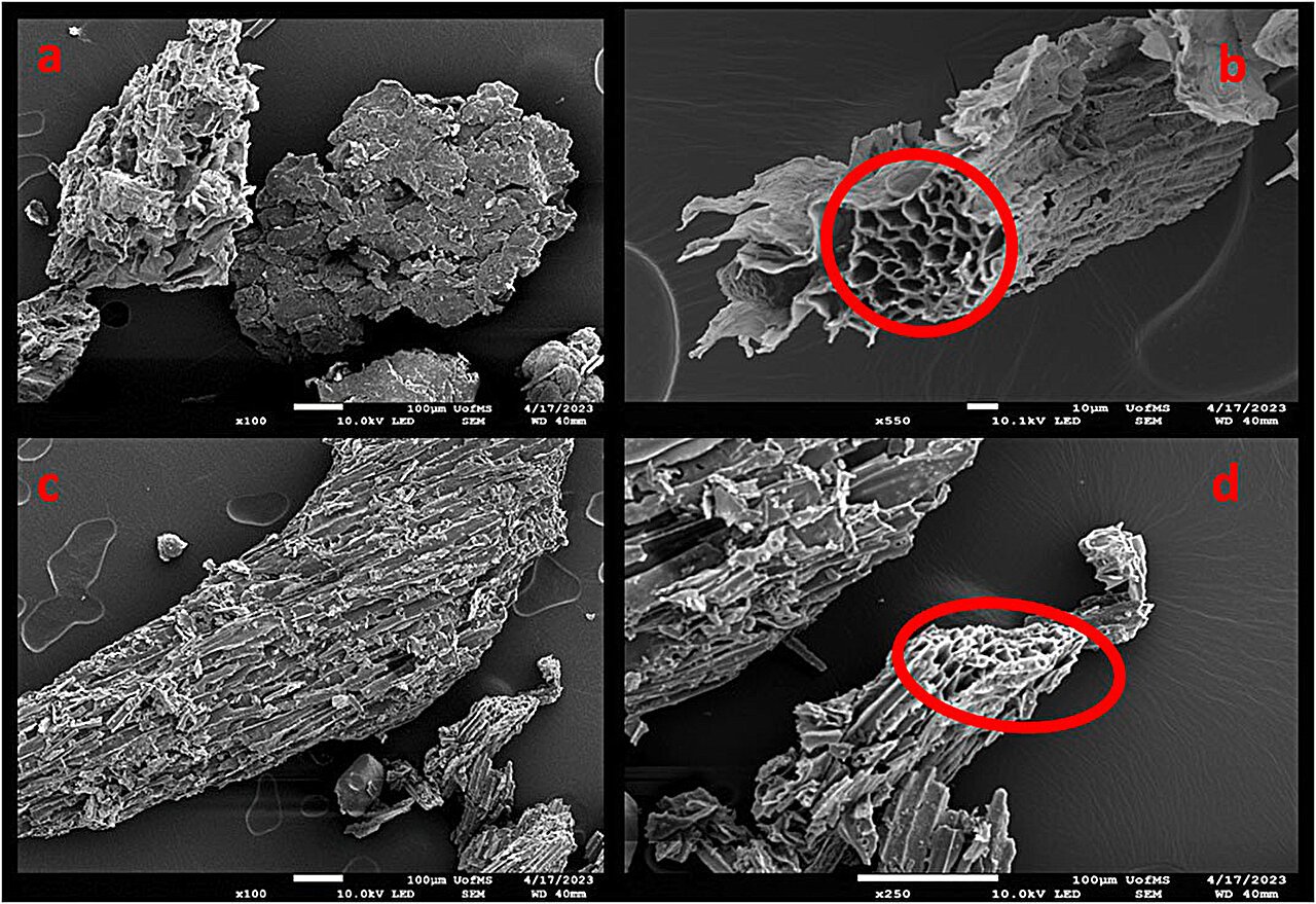 Farm waste can filter microplastics in surface runoff, prevent pollution