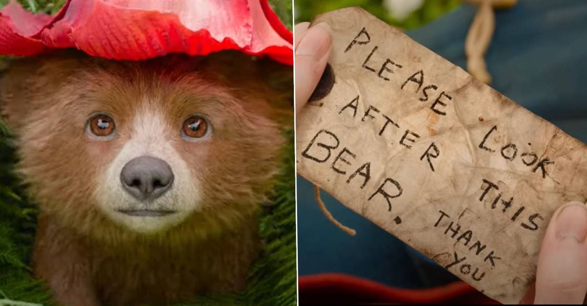 New Paddington 3 trailer charts the bear's wild journey in Peru and gives us our first look at Baby Paddington