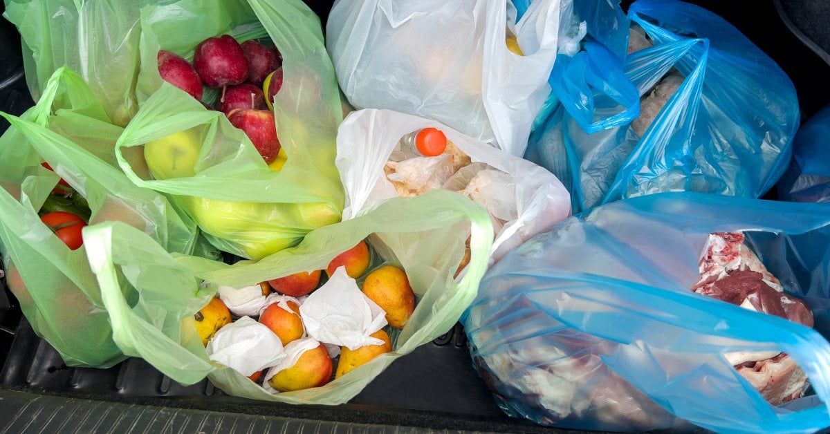 California Governor Signs Law Banning All Plastic Shopping Bags at Grocery Stores