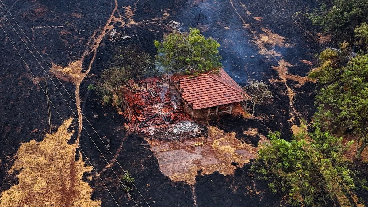 Record-breaking fires engulf South America, bringing black rain, green rivers and toxic air to the continent