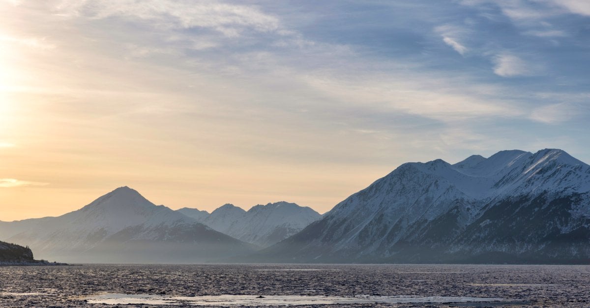 Why an Alaska Island Is Using Peanut Butter and Black Lights to Find a Rat That Might Not Exist