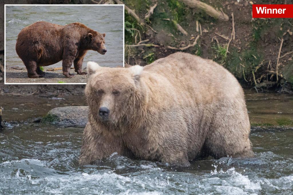 Grazer beats the behemoth that killed her cub to win Alaska’s Fat Bear Contest