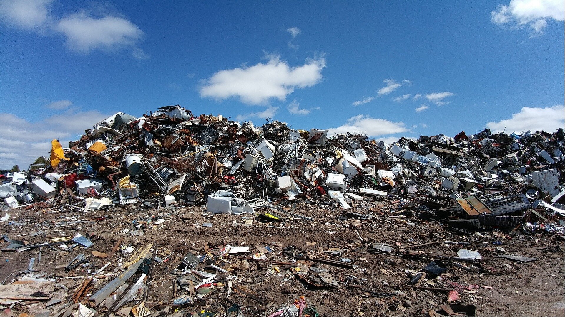 Study reveals food waste bans ineffective in reducing landfill waste, except in Massachusetts