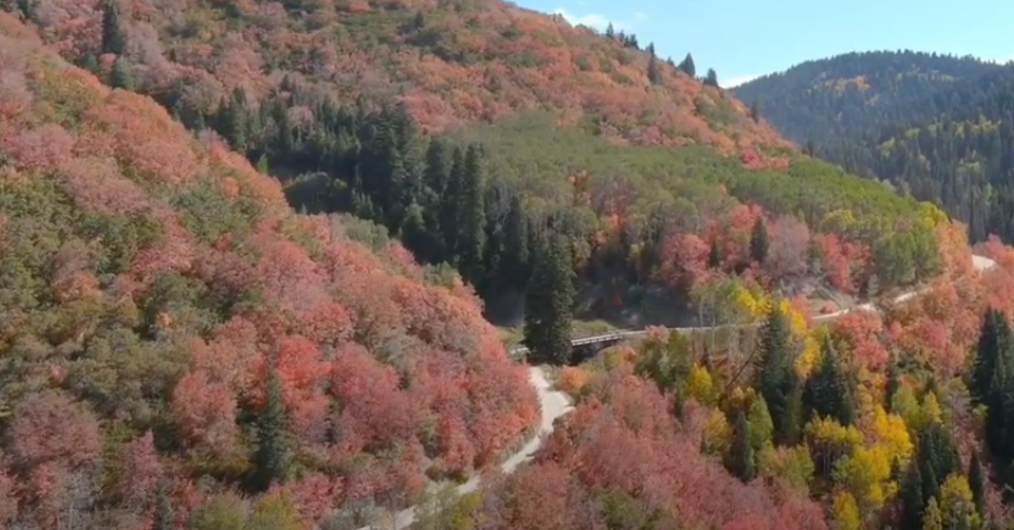 Drone Captures Autumnal Palette in Northern Utah