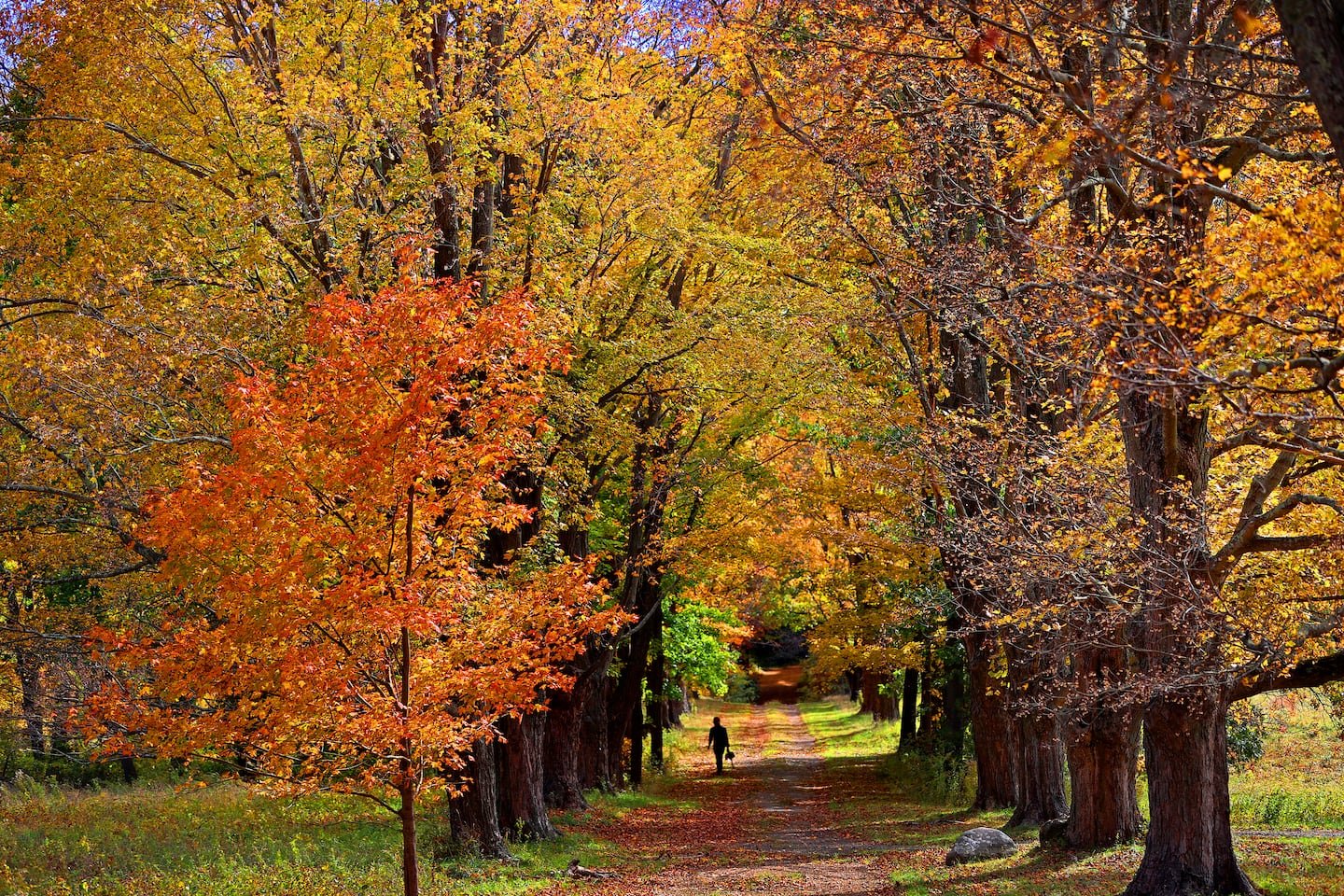 Warming trend moves in today across Boston