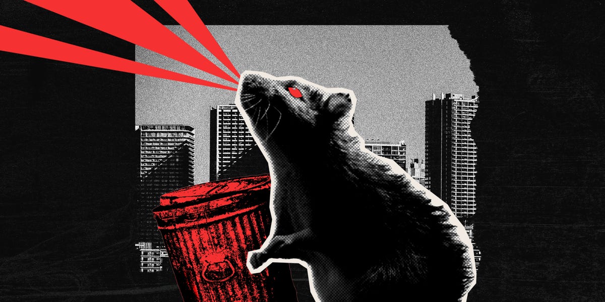 I joined an 'elite squad of anti-rat activists.' It was even creepier than I expected.