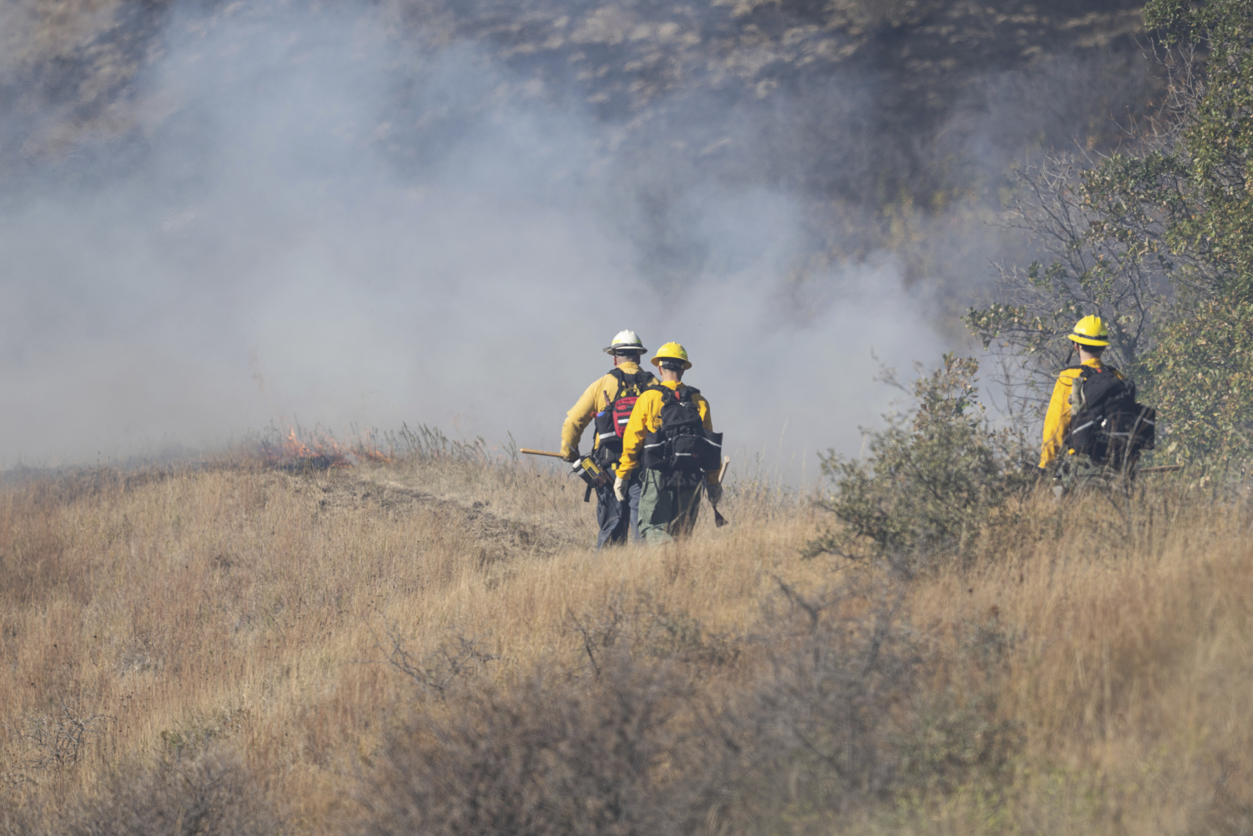 North Dakota Death During Devastating Wildfires