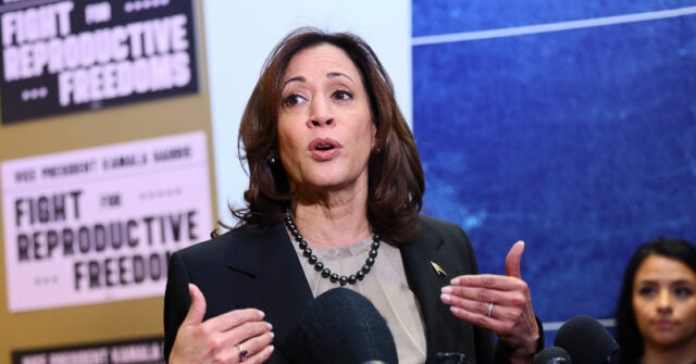 Fact Check: Kamala Harris Claims Trump 'Did Nothing to Fix' U.S. Immigration System