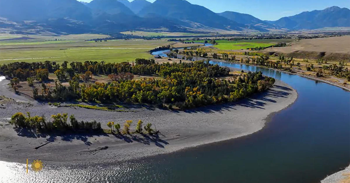 Nature: Yellowstone River