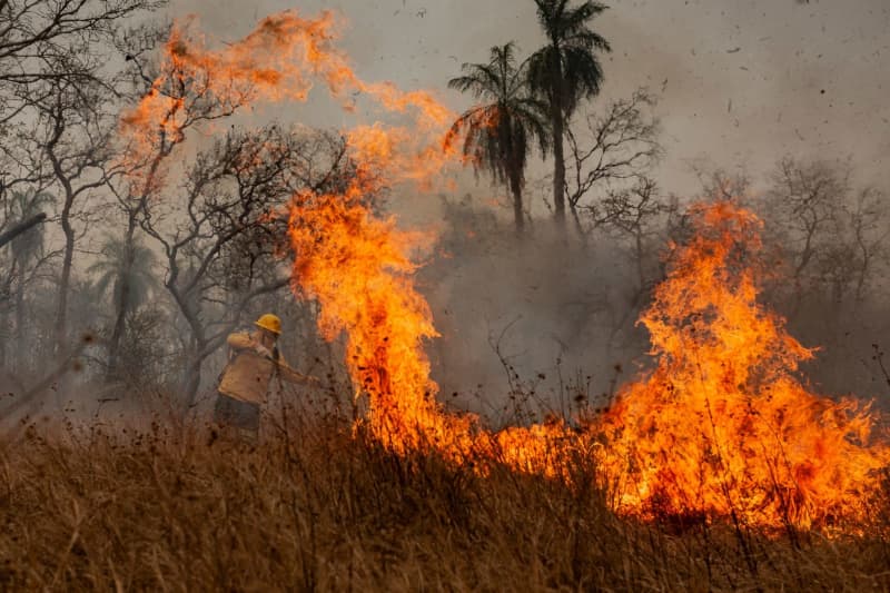 Brazil's indigenous firefighters battling the ever-more rapid flames