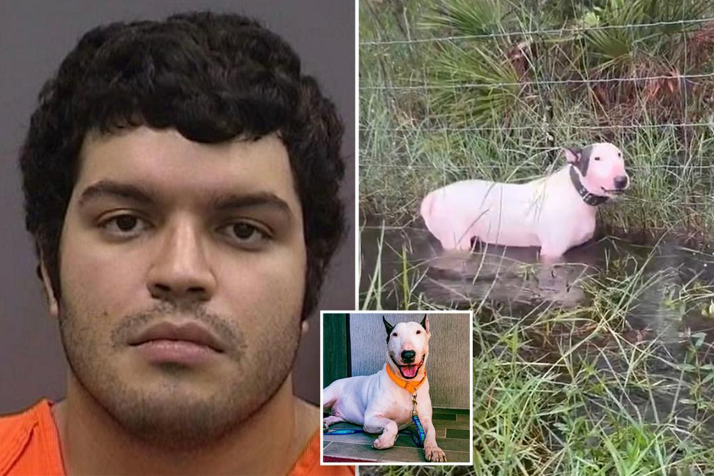 Florida man charged with abandoning dog on side of road during evacuation of Hurricane Milton