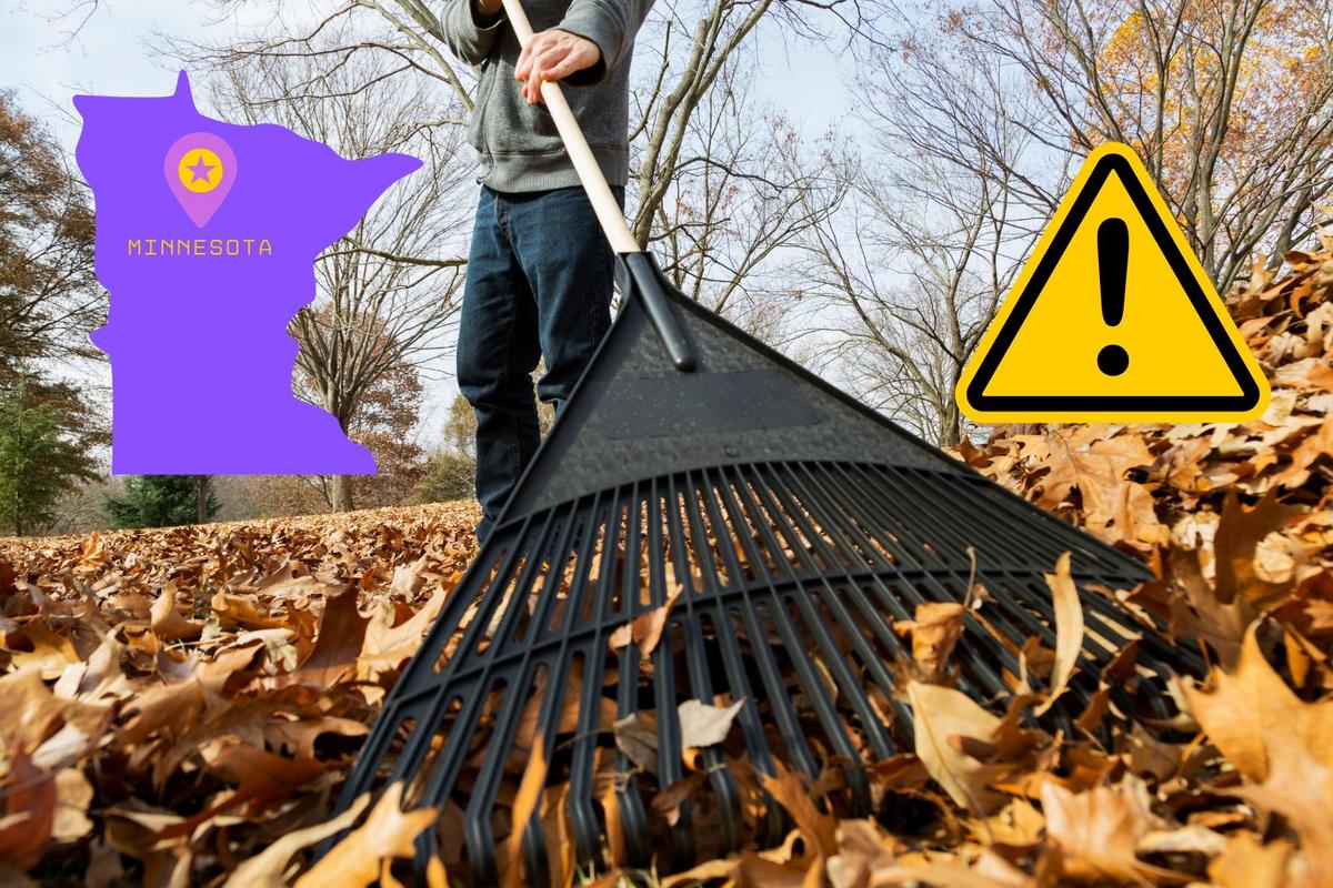 Minnesota Issues Warning About Leaves In Streets And Gutters