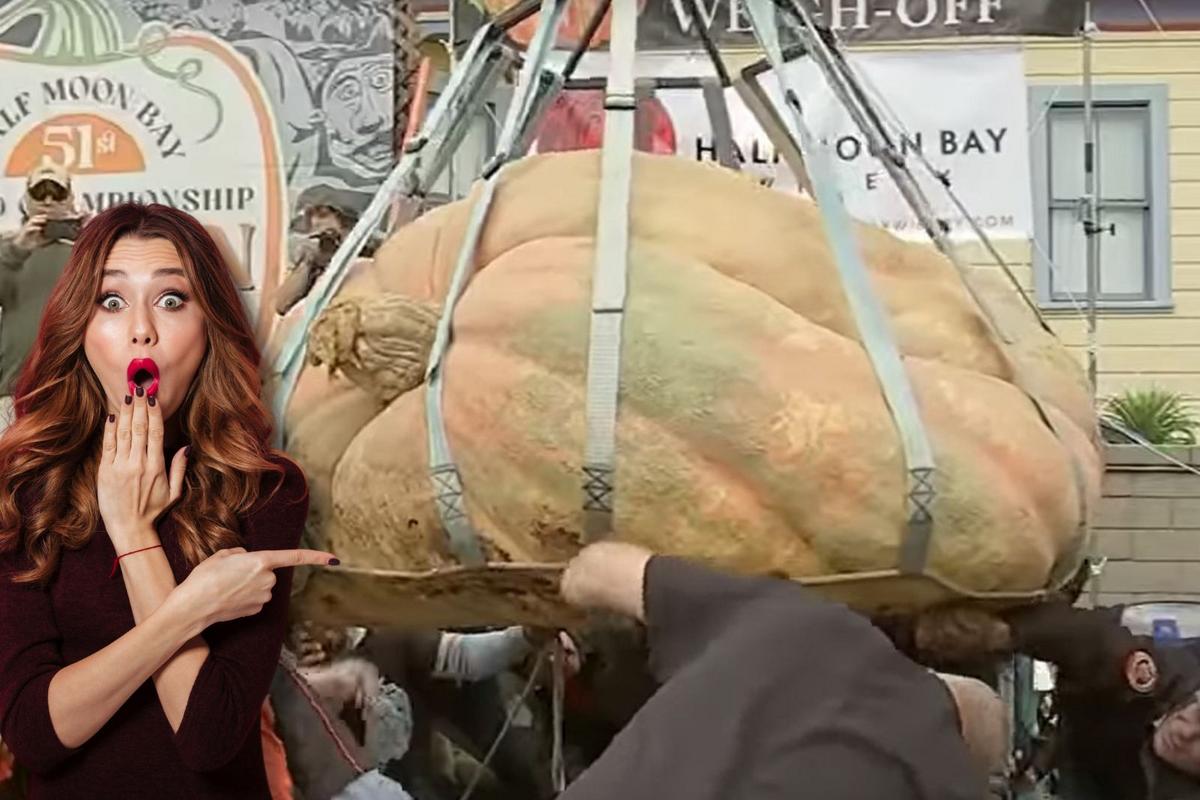 Minnesotan Wins Pumpkin Weigh-Off with Monstrous Gourd