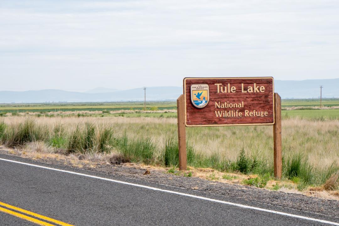 This Lake Just Saw Its Worst Botulism Outbreak