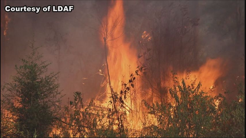 Retired state fire marshal weighs in on red flag warnings and burn bans across the state