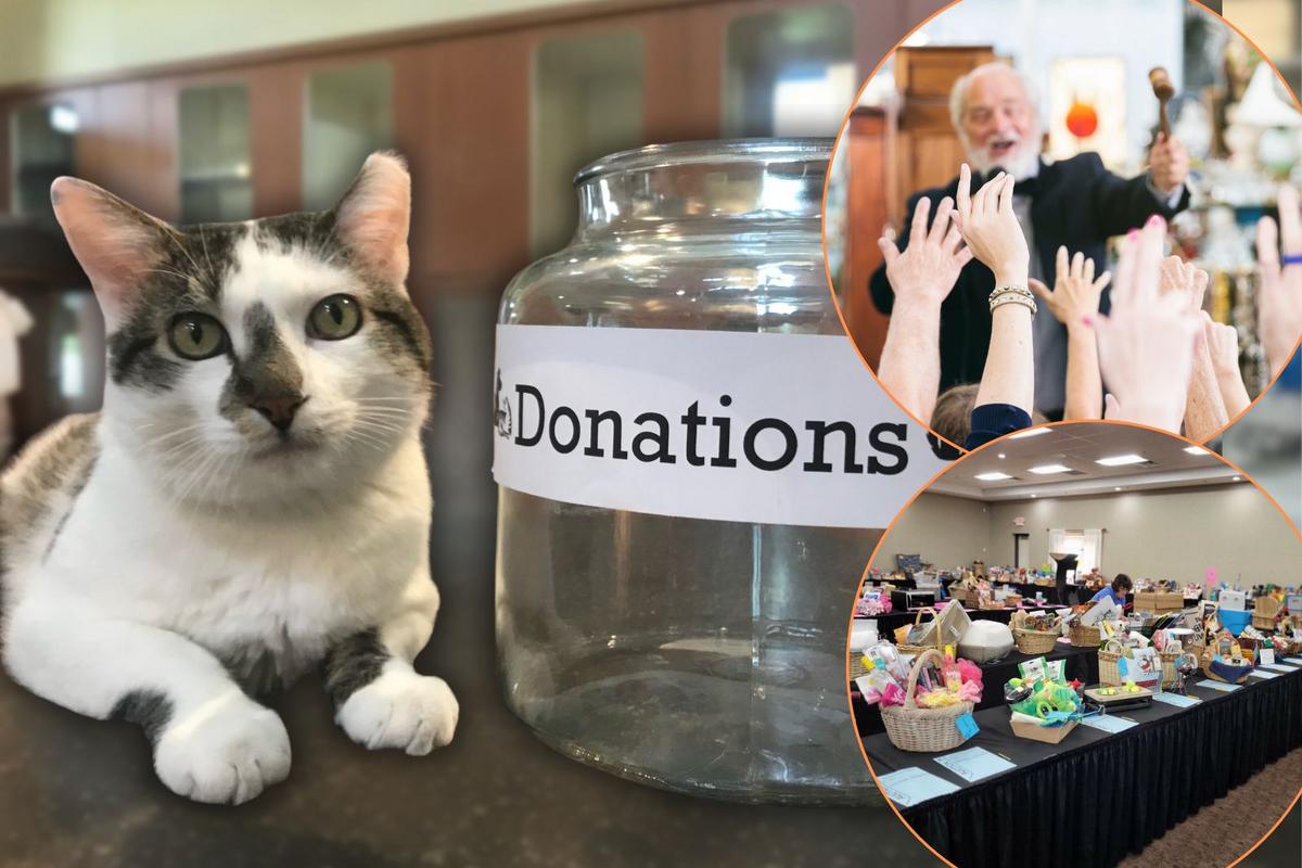 Raise Money for Paws and Claws at Fall Fundraiser, Rochester, MN