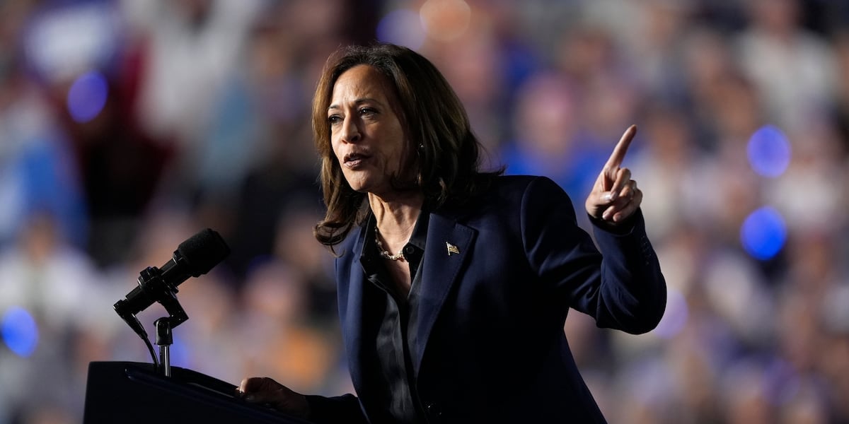 Harris and Trump target Michigan as both parties try to shore up ‘blue wall’ votes