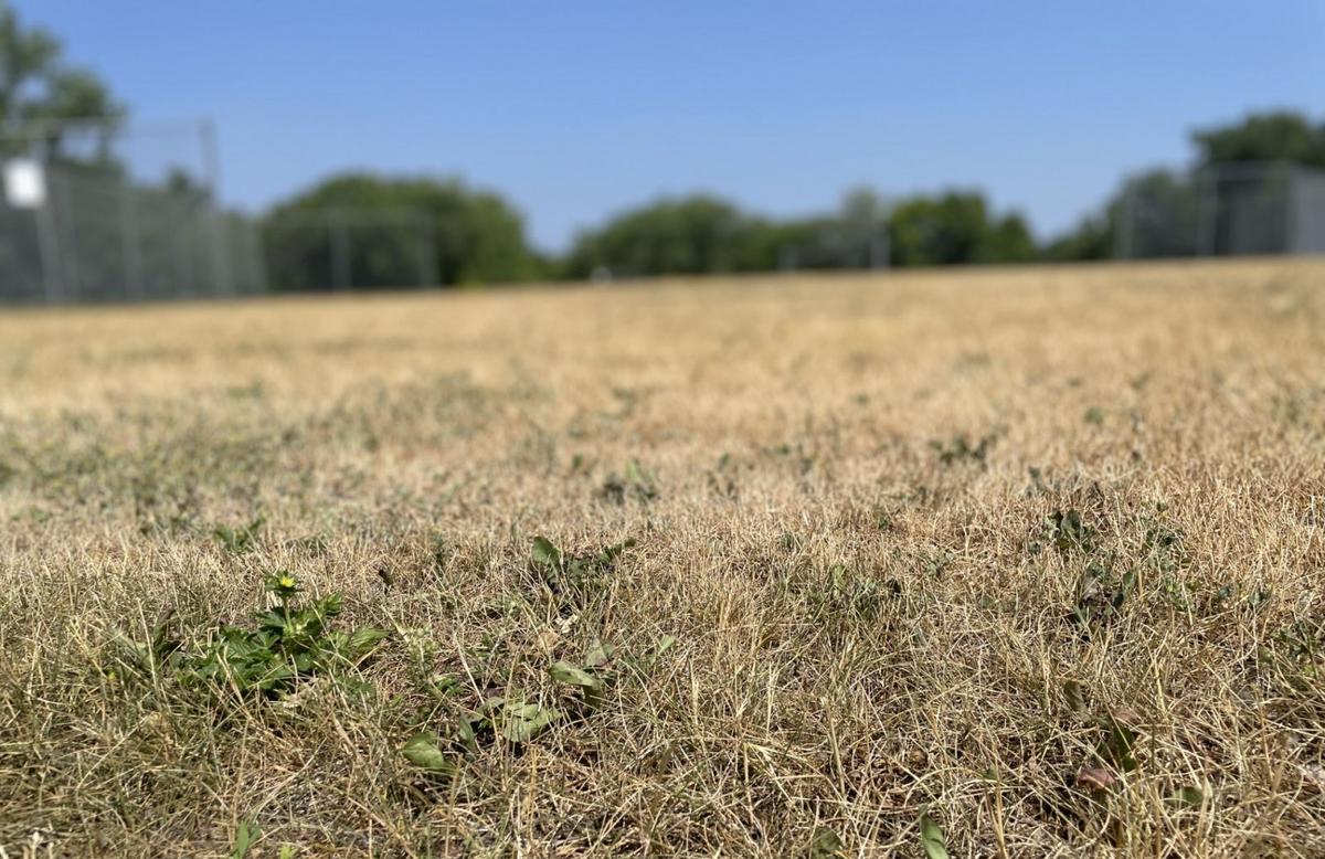 Minnesota Drought Conditions Expand Into Rochester Area