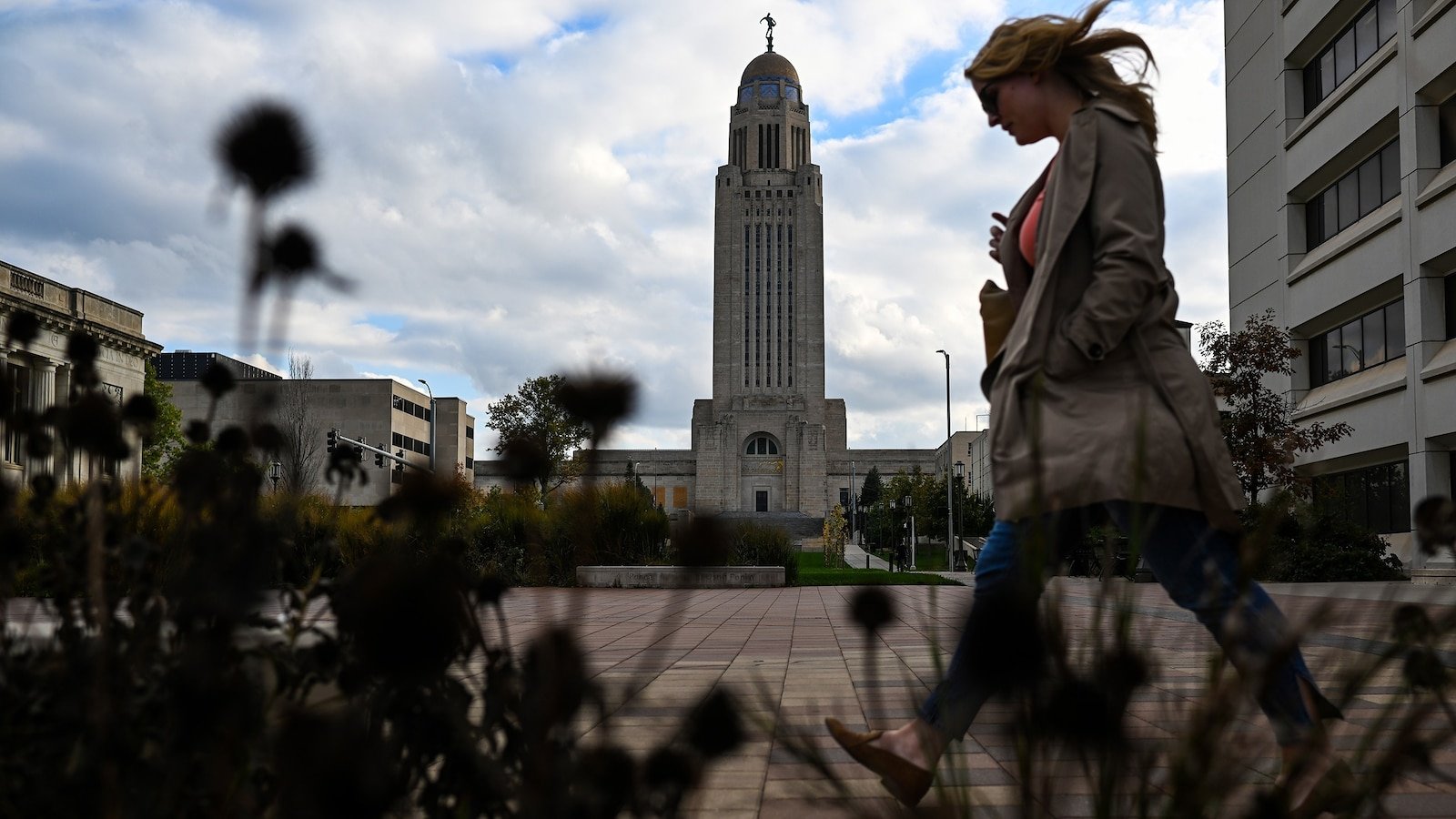 Why China is buying horses from Kansas and Nebraska