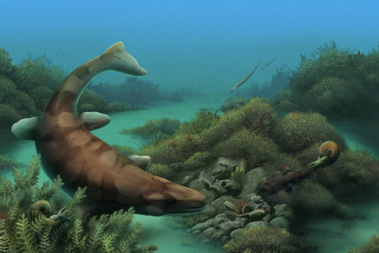 Nubby-Toothed Sea Monster Once Prowled Texas Seas, Recent Fossil Discovery Suggests