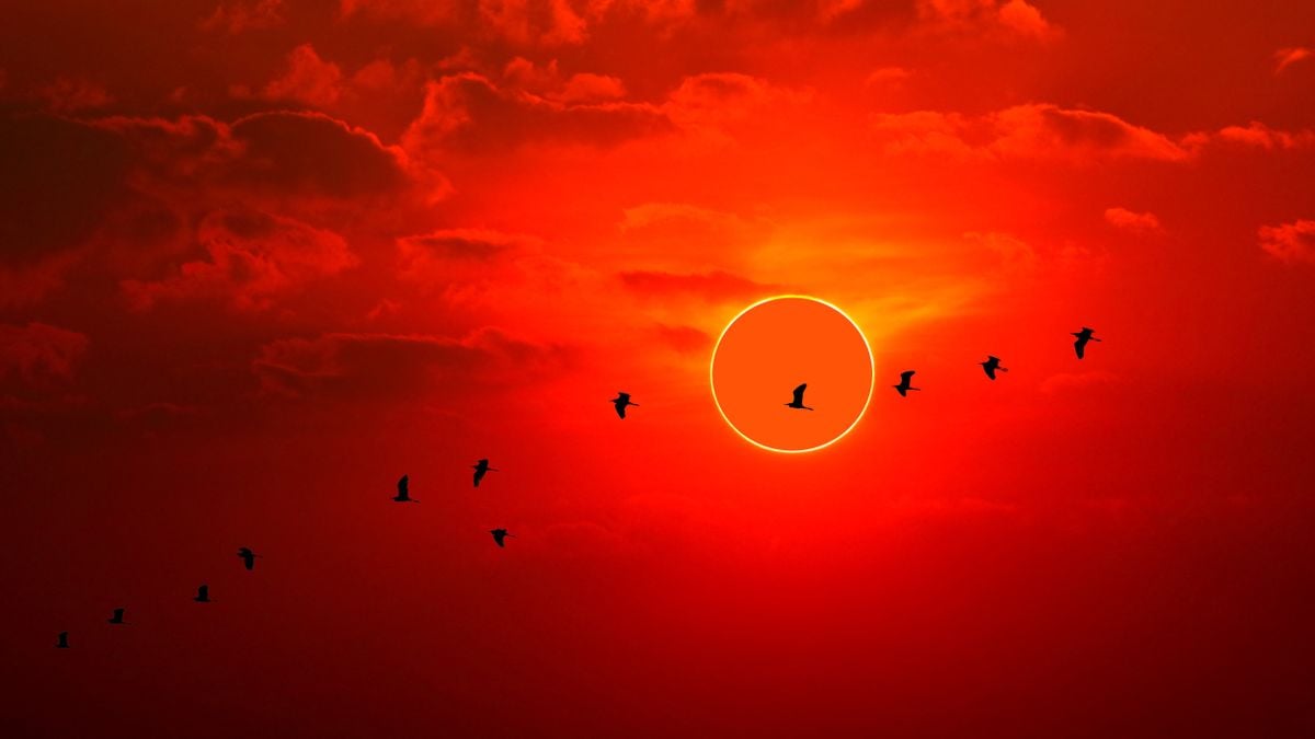 1 week until annular solar eclipse turns the sun into a dramatic 'ring of fire'