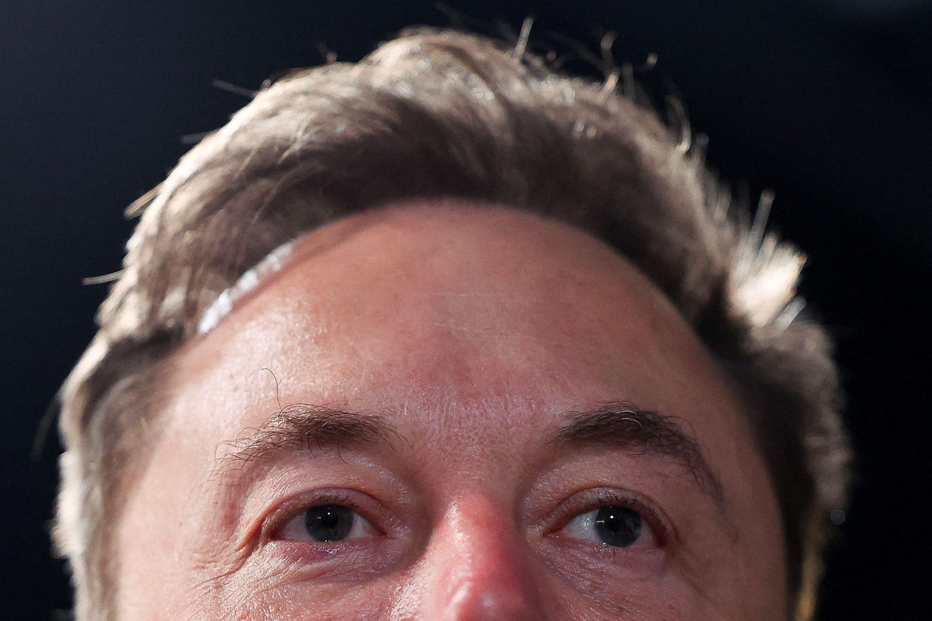 The ‘Future Of Humanity’—Elon Musk Reveals Details Of Secret Meeting With El Salvador’s Bitcoin President Amid Price Rally